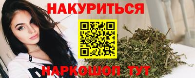 прущие грибы Жуковский