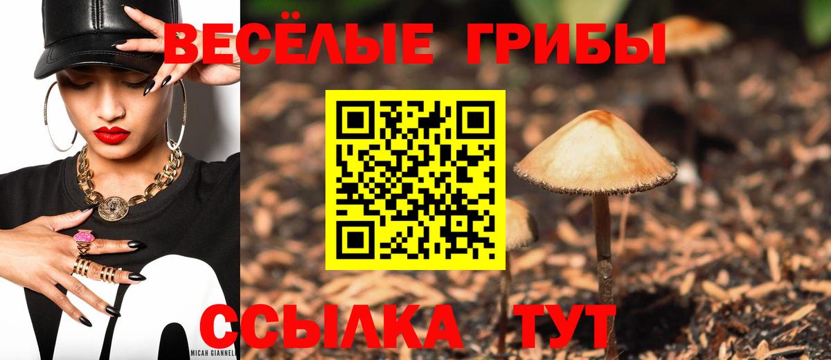 Кулебаки  Псилоцибиновые грибы Psilocybine cubensis  Вход с VPN 